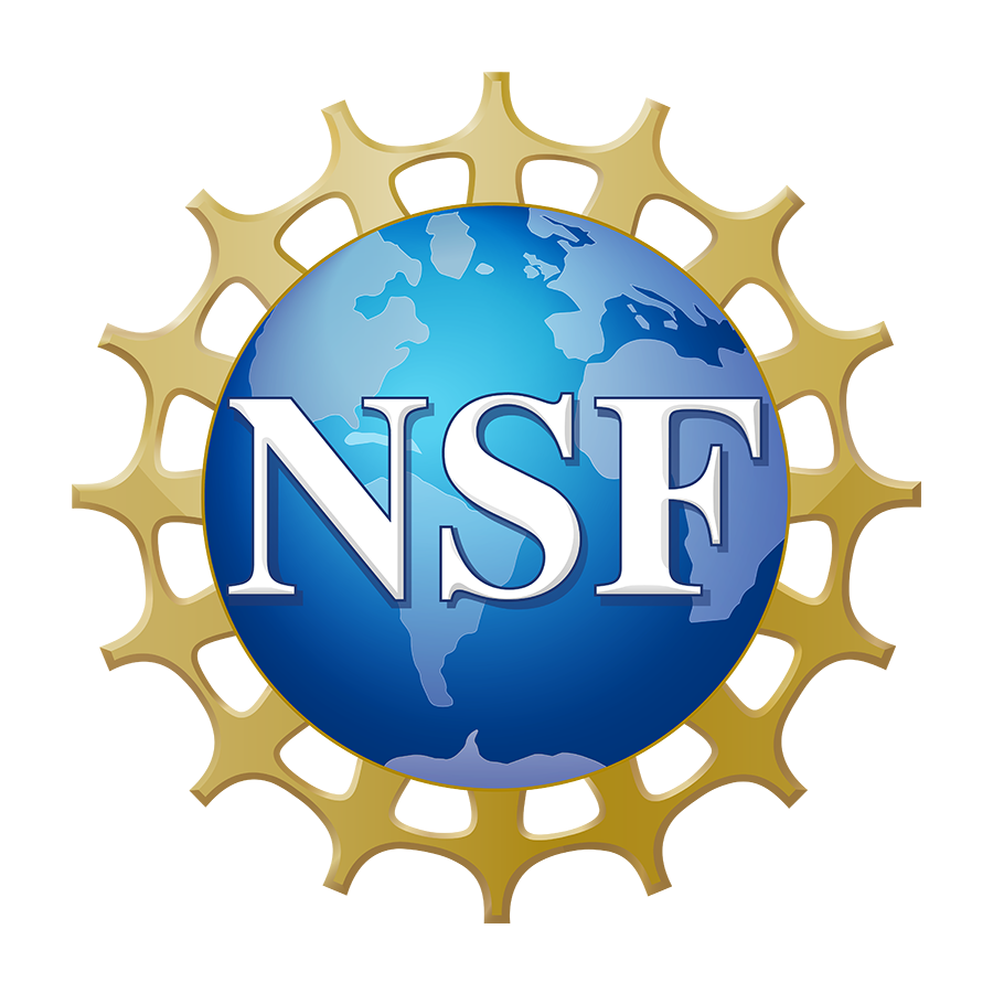 NSF Log